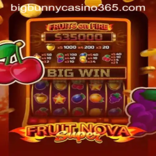 Exploring the World of FruitNovaSuper at Big Bunny Casino