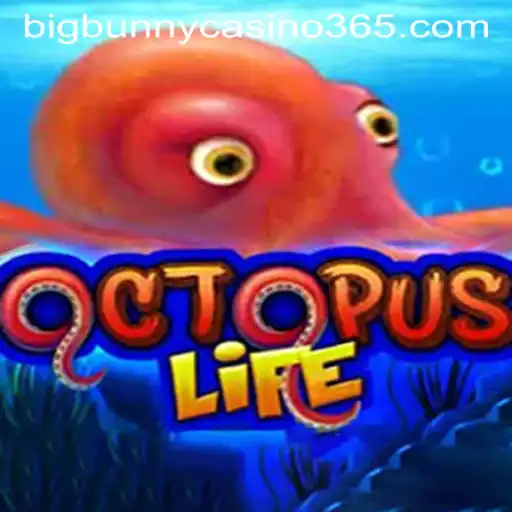 Dive into the Unique World of OctopusLife and Unravel the Adventure of Big Bunny Casino