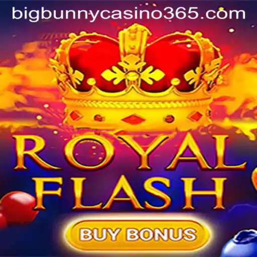 Experience the Thrill of RoyalFlashBuyBonus at Big Bunny Casino